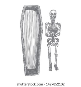 Human Skeleton And Coffin Hand Drawing. Dead Skeleton. Halloween Open Casket.  Witchcraft Magic, Occult Voodoo. Vector.