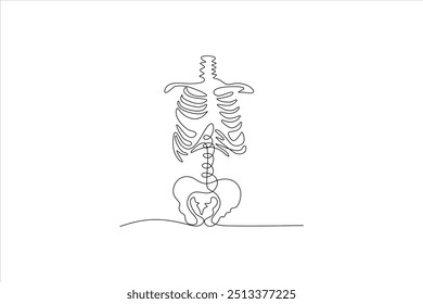 human skeleton continuous line vector illustration design