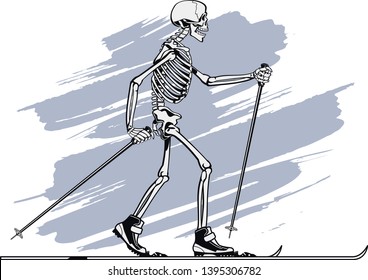 human skeleton cross country skiing