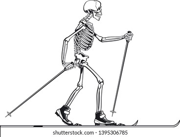 human skeleton cross country skiing