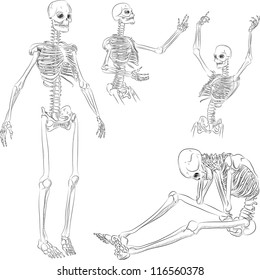 Dancing Skeleton Stock Images, Royalty-Free Images & Vectors | Shutterstock