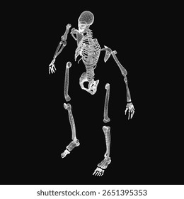 A human skeleton is drawn in black and white, centered on a dark background with outstretched limbs. The bones are sharply defined