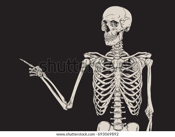 Human Skeleton Finger Pointing Isolated Over Stock Vector (Royalty Free ...