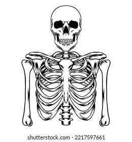 Human skeleton Hand drawn vector