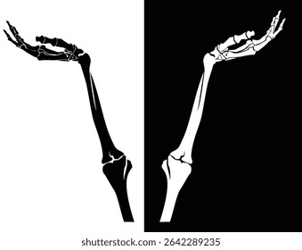 human skeleton hand holding empty space or showing suggestion gesture - limb bone structure black and white hand drawn vector design set