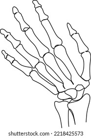 Human skeleton hand illustration. isolated, bone, halloween, cartoon, spooky, vector.
