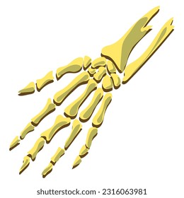 The human skeleton of the hand, palm, fingers is located straight. Vector illustration of three shades of brown. Cartoon natural hand bones for Halloween greeting card. A mystical item for witchcraft