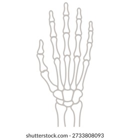 Menschliches Skelett Hand Vektorgrafik - Gespenstische Halloween Knochen Geste für Rockmusik, Anatomie und Horror Design.