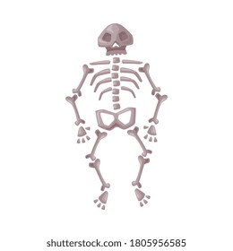 Human Skeleton, Happy Halloween Object Cartoon Style Vector Illustration on White Background