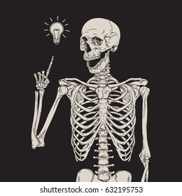 Human skeleton has an