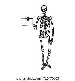 human skeleton holding blank sign or board vector illustration sketch hand drawn with black lines, isolated on white background