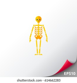 Human skeleton icon