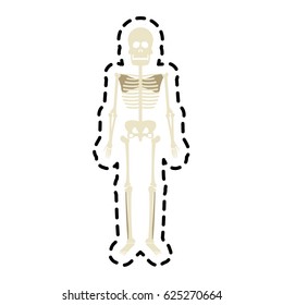 human skeleton icon image 
