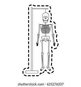 human skeleton icon image 