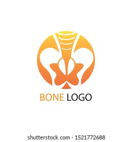 human skeleton icon and symbol vector illustration