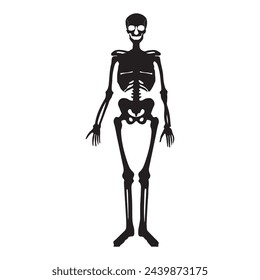 Human skeleton icon vector illustration symbol design