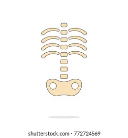 Human skeleton icon. Vector illustration isolated on white background