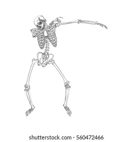 Human skeleton making DAB, perform dabbing dance move gesture, posing on white background. Vector.