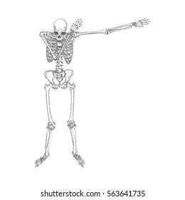 Human skeleton making DAB, perform dabbing dance move gesture, posing on white background. Vector.