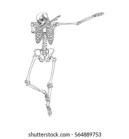 Human skeleton making DAB, perform dabbing dance move gesture, posing on white background. Vector.