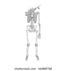 Human skeleton making DAB, perform dabbing dance move gesture, posing on white background. Vector.