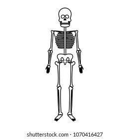 human skeleton model on black and white