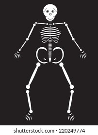 Human Skeleton on black background 