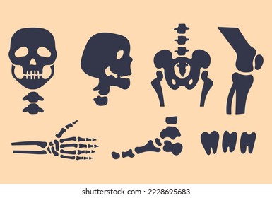 Human skeleton part concept set. Vector graphic design illustration element