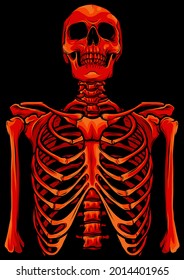 Human skeleton posing isolated on black background vector illustration