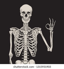 Human skeleton posing isolated over black background vector illustration. Hand drawn gothic style placard, poster or print design