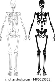 Human skeleton posing isolated over black background vector illustration