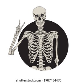 Human skeleton posing isolated over black background vector illustration