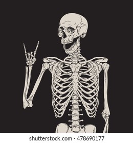 Human skeleton posing isolated over black background vector illustration
