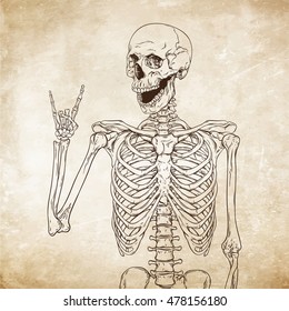 Human skeleton posing over old grunge paper background vector illustration