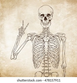 Human skeleton posing over old grunge paper background vector illustration
