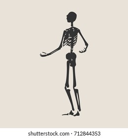 Human skeleton posing. Vector illustration. Halloween party design template