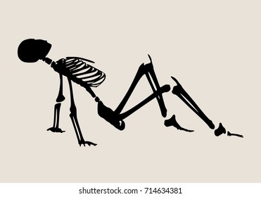 Human skeleton posing. Vector illustration. Halloween party design template