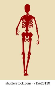 Human skeleton posing. Vector illustration. Halloween party design template