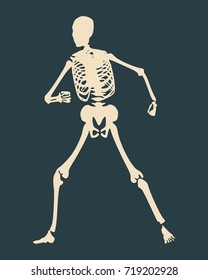 Human skeleton posing. Vector illustration. Halloween party design template