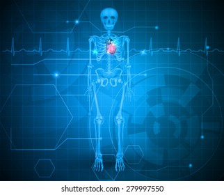 Human skeleton with red heart blue background and normal cardiogram, scientific design