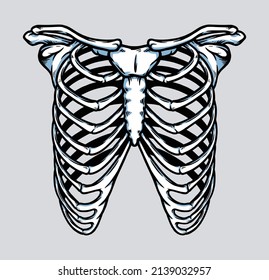 Ilustración de anatomía en jaula de costillas de esqueleto humano