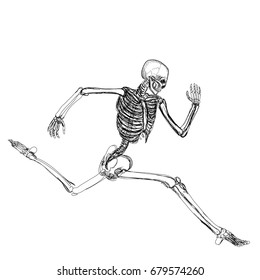 Human skeleton running isolated over white background vector illustration