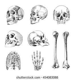 Human skeleton sketch hand drawing illustration vector set, skull, bone, wrist isolated on white background