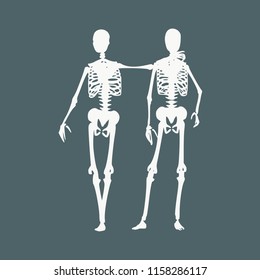 Human skeleton standing and hugging. Halloween party design template. Friends embrace