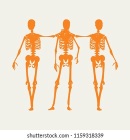 Human skeleton standing and hugging. Halloween party design template. Friends embrace
