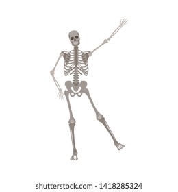 Human skeleton standing on one leg with arm raised up cartoon flat style, vector illustration isolated on white background. Funny skeleton in dancing pose, Halloween concept