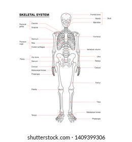 10,306 Didactic Images, Stock Photos & Vectors | Shutterstock