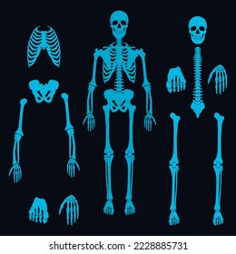 Human skeleton technology icon vector Bone organs can be easily fixed, technology transfer concept