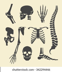 Human skeleton. Vector black illustration set