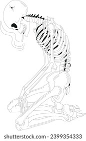 Human skeleton Vector illustration graphic 